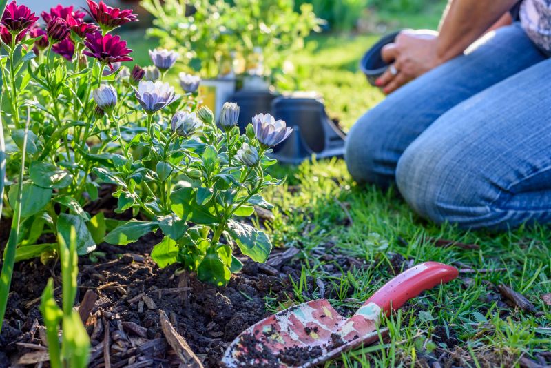 Perennials Planting in Ventura County, CA