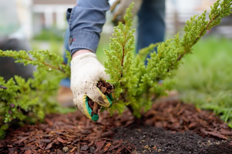 Apartment Mulching in Honolulu, HI