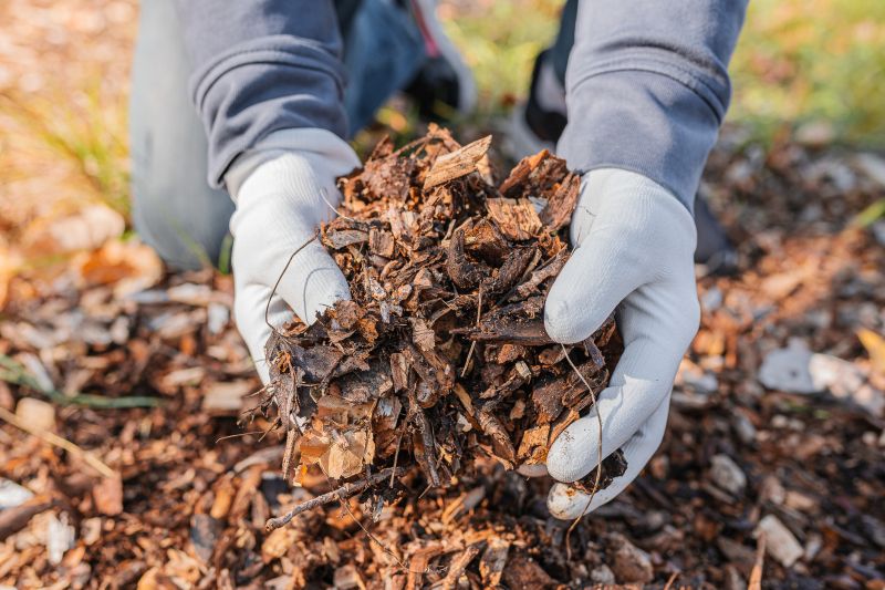 Cedar Mulch Installation in Ventura County, CA
