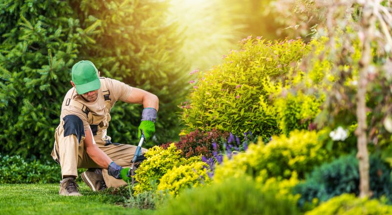 Gardening Service in Ventura County, CA