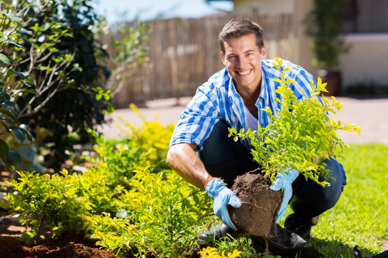 Small Garden Landscaping in Honolulu, HI