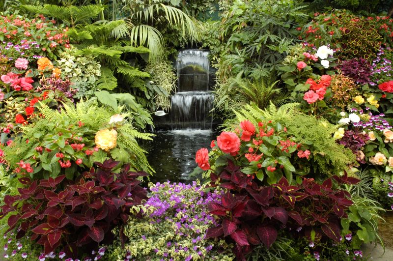 Waterscaping in Honolulu, HI