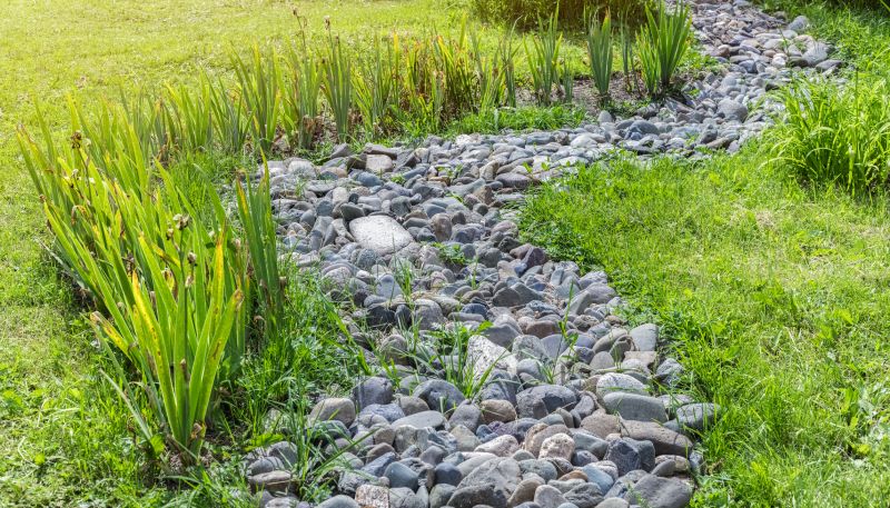 Xeriscape Landscaping in Honolulu, HI